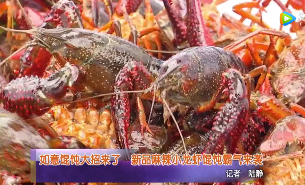 蘇州電視臺報道：如意餛飩大招來了！新品麻辣小龍蝦餛飩霸氣來襲